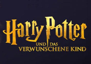 Harry Potter Musical Harry Potter